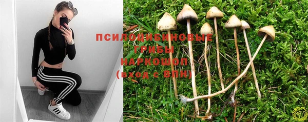 apvp Балабаново