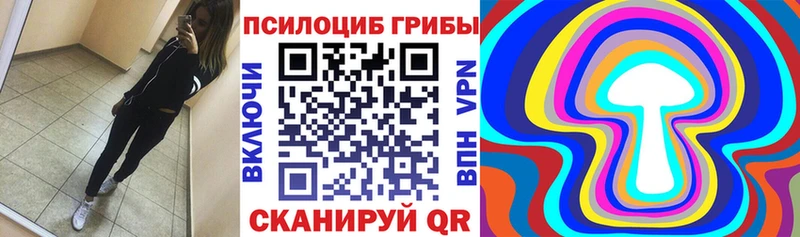 Галлюциногенные грибы мухоморы  hydra ссылка  Буй 